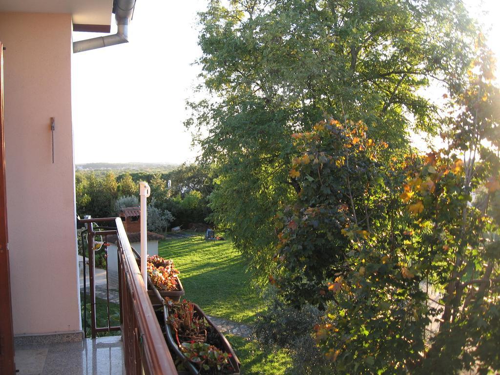 Apartments Adelita Poreč Exteriör bild