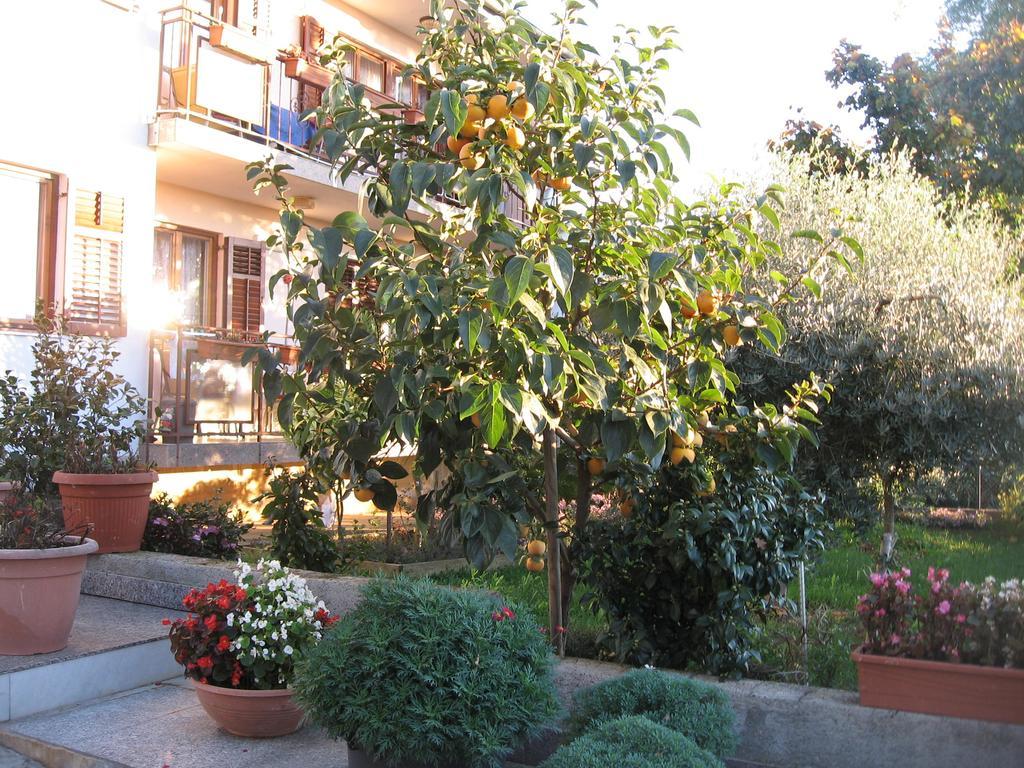 Apartments Adelita Poreč Exteriör bild